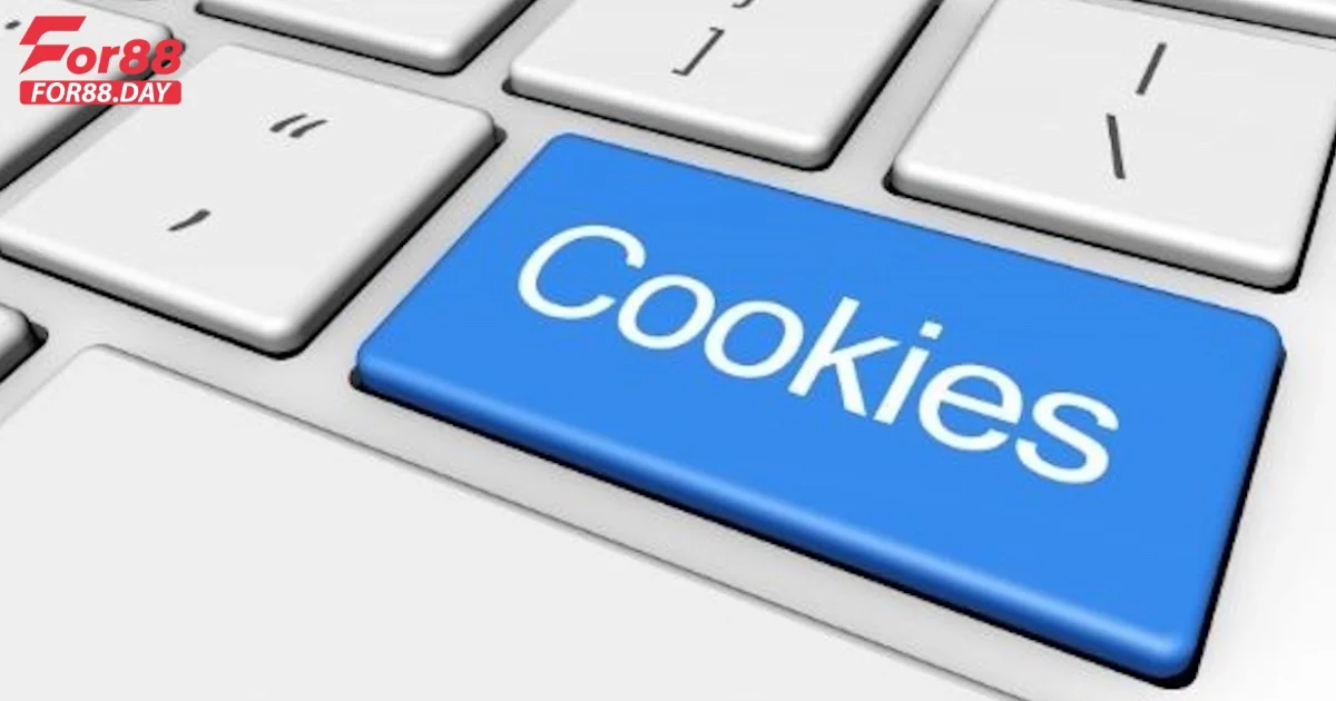 Chính Sách Cookie For88 Là Gì? Tìm Hiểu Về Chính Sách Cookie 3 Chính Sách Cookie For88